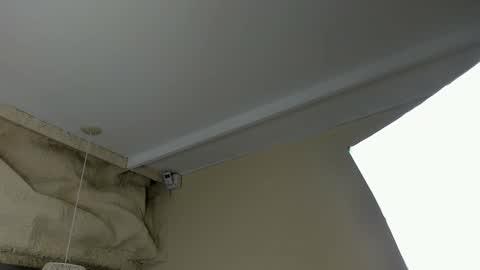 amy online show from March 18, 2026, 12:08 pm