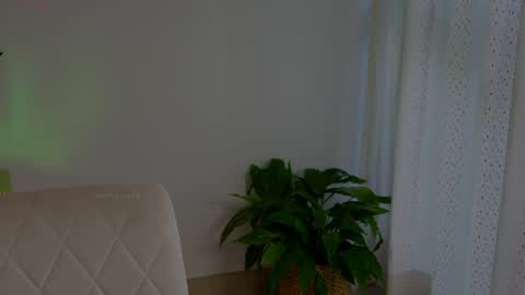 Snapshot of anabelcurvy chatting on May 13, 2026, 6:38 pm anabelcurvy online show from May 13, 2026, 6:38 pm