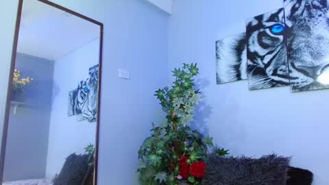 Snapshot of analia_01 chatting on February 8, 2025, 3:10 pm Analia online show from February 8, 2025, 3:10 pm