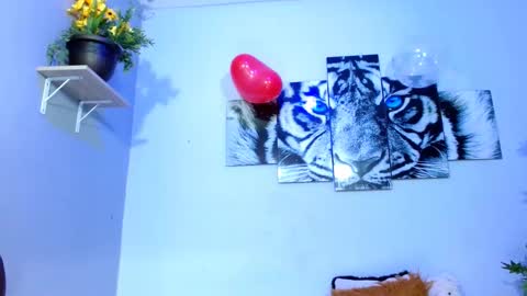 Snapshot of analia_01 chatting on February 15, 2025, 4:56 pm Analia online show from February 15, 2025, 4:56 pm