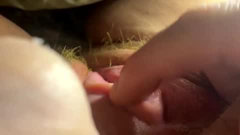 anastasia online show from February 26, 2026, 2:54 am