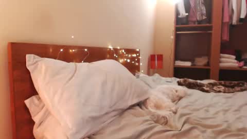 Andra online show from December 24, 2024, 6:00 am