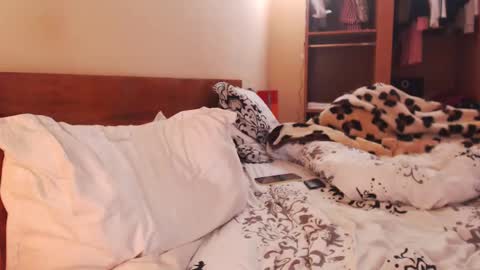 Andra online show from January 27, 2025, 8:29 am