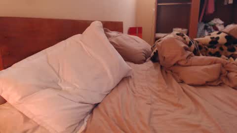 Andra online show from February 6, 2025, 3:27 am