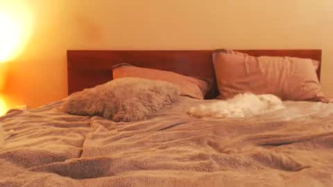 Snapshot of andrasweetie chatting on February 25, 2026, 7:01 pm Andra online show from February 25, 2026, 7:01 pm