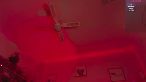 Andre Cole online show from February 10, 2025, 5:36 am