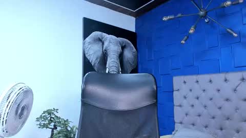 insta andres clark  online show from October 26, 2025, 6:14 pm