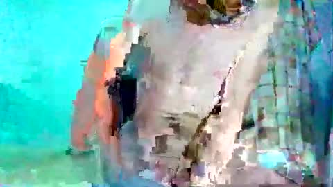 Snapshot of andrescitomessi chatting on December 5, 2024, 6:21 am FLACO online show from December 5, 2024, 6:21 am