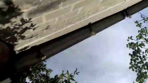 andrew online show from September 14, 2025, 8:30 pm