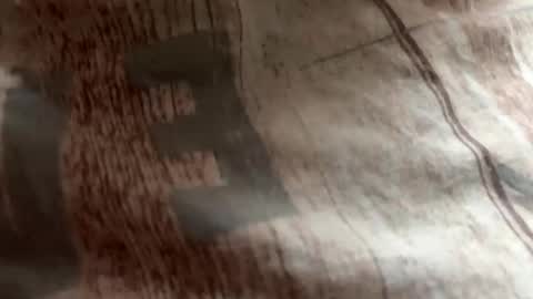 Zloy online show from October 19, 2025, 8:37 am