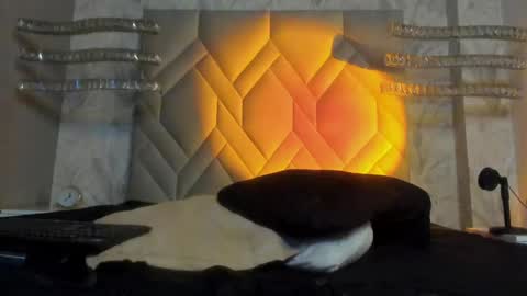 Snapshot of andypalmer_ chatting on January 5, 2025, 9:48 am andy palmer online show from January 5, 2025, 9:48 am