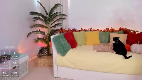 Snapshot of angel_claire chatting on November 14, 2025, 7:56 pm Claire - be back soon online show from November 14, 2025, 7:56 pm