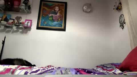 Snapshot of angelicfxxt chatting on January 23, 2025, 5:56 am angelicfxxt online show from January 23, 2025, 5:56 am