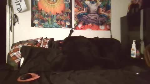 Snapshot of angelshempire420 chatting on February 8, 2026, 5:33 am Angel and Mark online show from February 8, 2026, 5:33 am