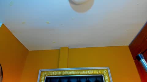 Ani  Time schedule 0600 - 1400 GMT -5 online show from February 3, 2025, 5:24 pm