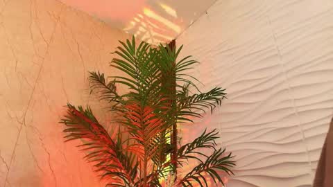 Snapshot of anton__monacu chatting on November 25, 2025, 3:50 am anton__monacu online show from November 25, 2025, 3:50 am