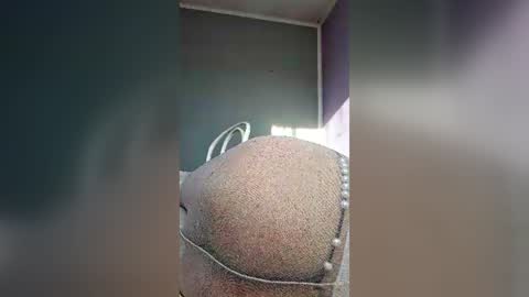 antonijosastin online show from June 14, 2026, 4:47 am