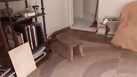 Snapshot of antonino85 chatting on October 30, 2025, 10:10 pm antonino85 online show from October 30, 2025, 10:10 pm