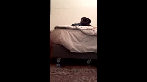 Snapshot of antonino85 chatting on February 10, 2026, 5:17 pm antonino85 online show from February 10, 2026, 5:17 pm