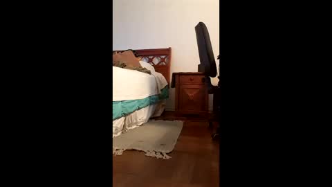 Snapshot of antonino85 chatting on February 20, 2026, 9:48 pm antonino85 online show from February 20, 2026, 9:48 pm