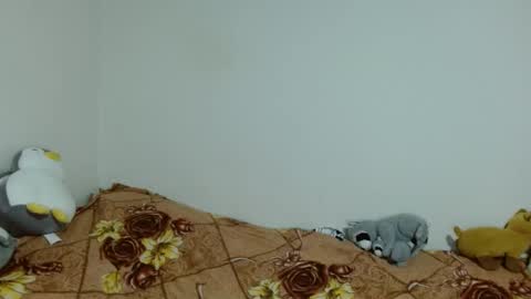 apache_710 online show from November 20, 2025, 2:34 am