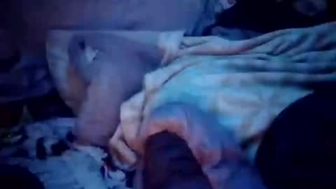 Snapshot of apocolypseanomaly chatting on December 16, 2024, 12:49 pm apocolypseanomaly online show from December 16, 2024, 12:49 pm