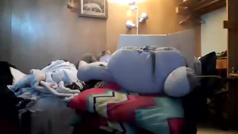 Snapshot of apocolypseanomaly chatting on December 26, 2024, 7:45 am apocolypseanomaly online show from December 26, 2024, 7:45 am