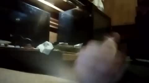 Snapshot of apocolypseanomaly chatting on January 3, 2025, 10:52 am apocolypseanomaly online show from January 3, 2025, 10:52 am