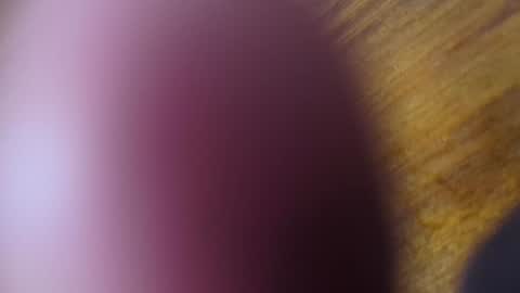 apollodarkmn online show from July 24, 2026, 4:10 am