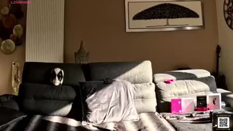 Snapshot of apollonfitx_69 chatting on February 1, 2026, 1:53 pm apollonfitx_69 online show from February 1, 2026, 1:53 pm