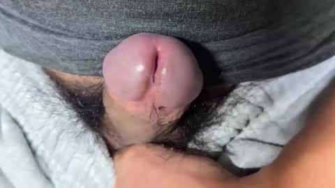 apple2761 online show from November 28, 2025, 4:15 am