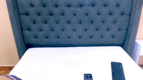 Snapshot of aracex_ chatting on January 30, 2025, 8:54 am Ara online show from January 30, 2025, 8:54 am