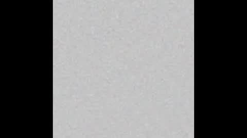 Arianna Collins online show from November 1, 2025, 11:34 am