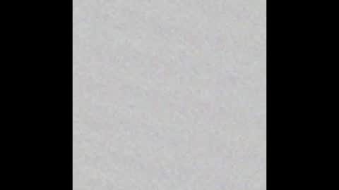 Arianna Collins online show from December 18, 2025, 11:49 am