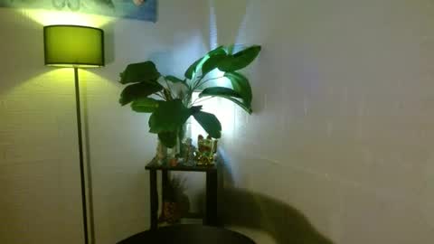 Snapshot of arianna_fox_devaxx chatting on February 16, 2025, 3:58 am Your love arianna online show from February 16, 2025, 3:58 am