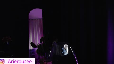 Snapshot of arie_rousee_sub chatting on January 15, 2026, 10:46 pm ARIE online show from January 15, 2026, 10:46 pm