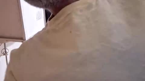 arielferdman online show from October 28, 2025, 9:06 pm