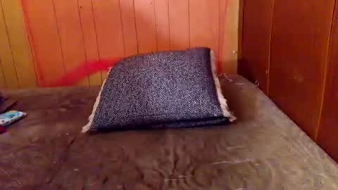 Snapshot of ariellejade06 chatting on February 19, 2026, 6:26 pm ariellejade06 online show from February 19, 2026, 6:26 pm