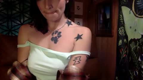 Snapshot of arielwyld chatting on February 21, 2025, 12:49 am ariel  colin when hes here online show from February 21, 2025, 12:49 am