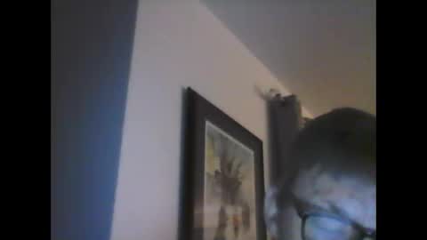 ariens online show from January 14, 2025, 6:45 am