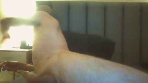 Arnoldmir online show from July 12, 2026, 8:22 pm