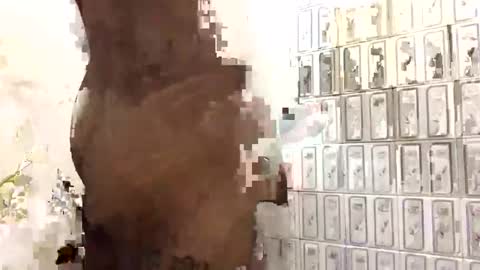 aron_7 online show from February 2, 2025, 7:35 pm