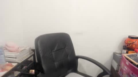 Snapshot of artsyandcraftsy_ chatting on April 6, 2026, 8:48 am MIA online show from April 6, 2026, 8:48 am