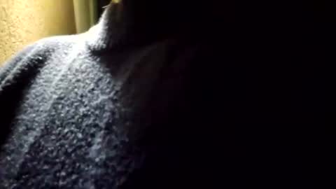 Ashelynn Grey online show from June 29, 2026, 4:30 am