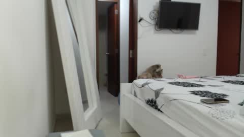 Snapshot of ashlymoon chatting on February 15, 2025, 9:37 pm AshlyMoon online show from February 15, 2025, 9:37 pm