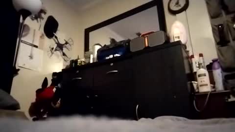 askme2shou online show from November 27, 2025, 9:33 am