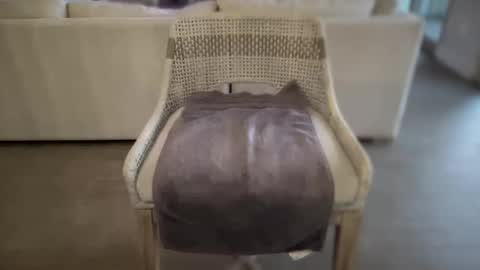 Snapshot of assfucklovee chatting on December 16, 2024, 2:49 pm assfucklovee online show from December 16, 2024, 2:49 pm