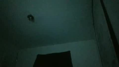 danni travis online show from February 23, 2025, 7:44 am