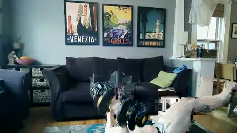 assmaster_6100 online show from February 11, 2025, 8:52 pm