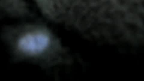 Atilana Diaz online show from December 30, 2024, 8:36 pm